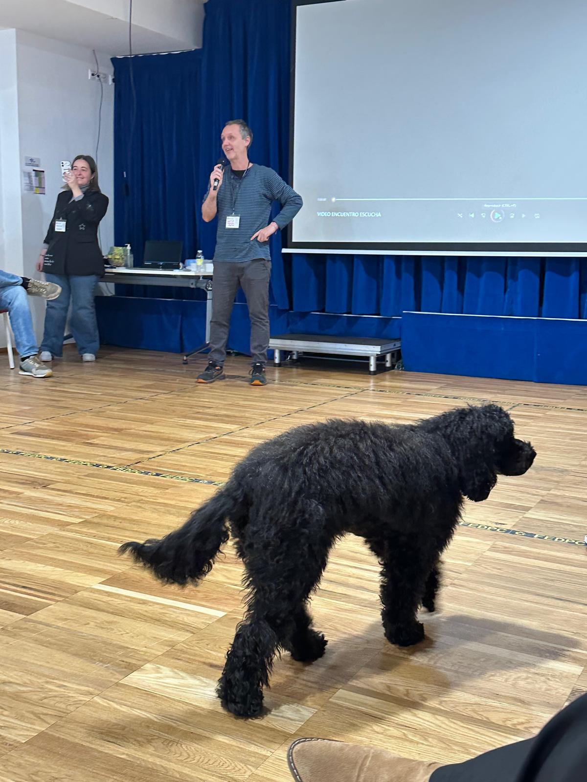 El programa de terapia con perros de Amencer-ASPACE, ejemplo de buenas prácticas en el Encuentro Autonómico de Profesionales de entidades ASPACE de Galicia